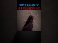 覚醒が終わった主人公