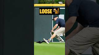 a squirrel got loose at a detroit tigers game 😂