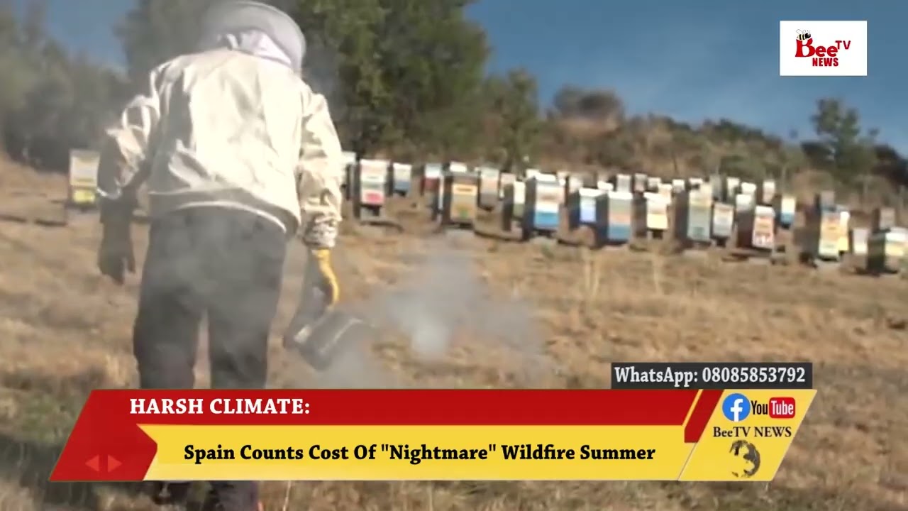 ИСПАНИЯ ПОДСЧИТЫВАЕТ УЩЕРБ ОТ «КОШМАРНОГО» ЛЕСНОГО ПОЖАРА ЭТИМ ЛЕТОМ