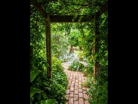 Gigi - The Garden