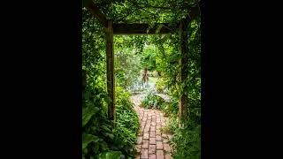 Vídeo de Gigi - The Garden