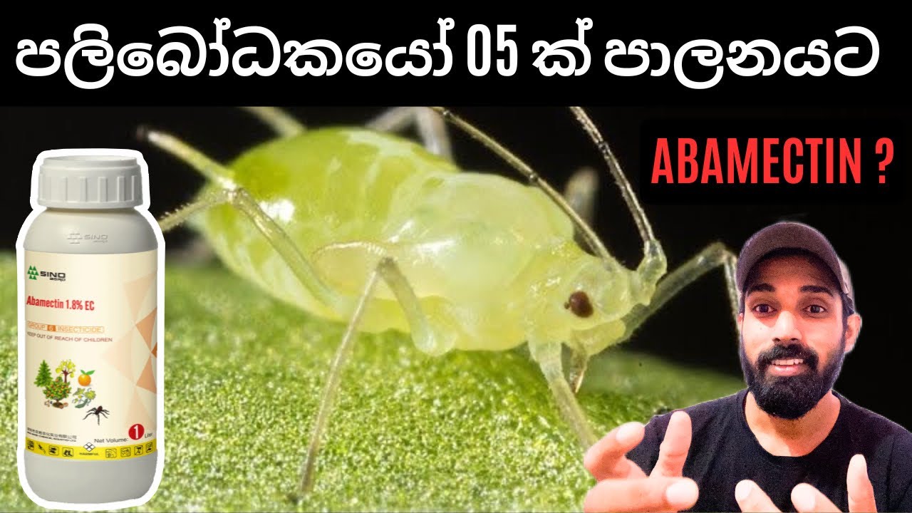 ඇබමෙක්ටීන් නිසා පාලනය වෙන කෘමීන් හා නිෂ්පාදන ඉතිහාසය, Abamectin mood Of action