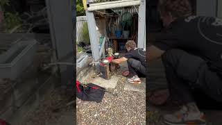 Celebrity Snake Catcher Removes Carpet Python from Lawn Mower Net Worth