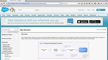 SalesForce GluuServer SAML SSO