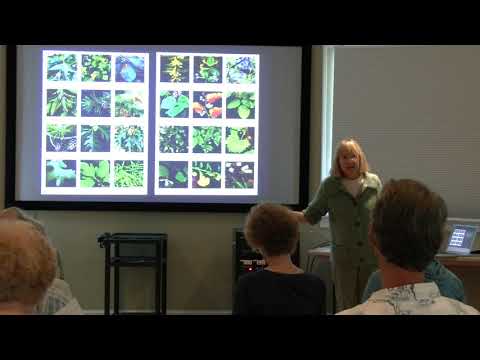 PAC/WCP Program "Native Plants for Woodland Gardens"