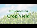 Understanding Crop Yield Influences