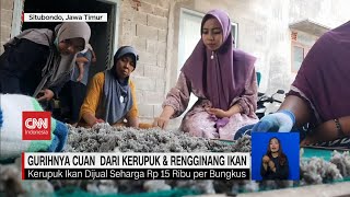 Download Lagu Cuan dari Keripik dan Kerupuk MP3