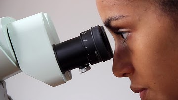 Yangambi: Partnerships, capacity building and entrepreneurship for a sustainable landscape