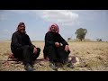 أغنية من تراث العربي من فيلم الأشجار الوحيدة