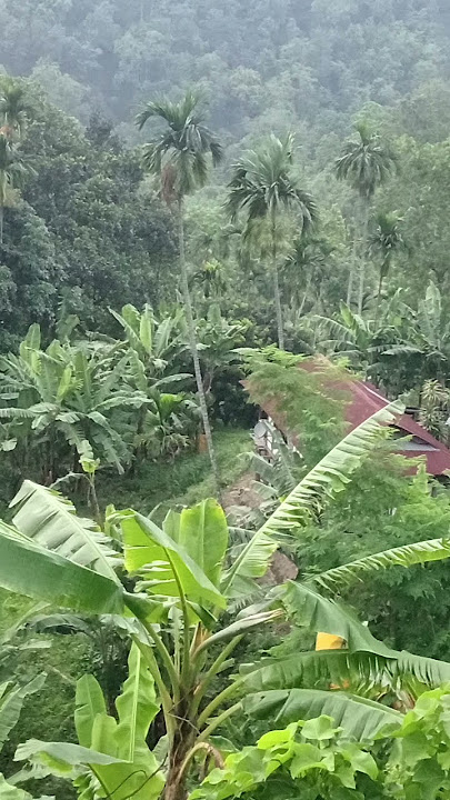 https: https://youtube.com/@prabenrai-l1g?si=kCImxJ7_S7YjyNY4 #travel