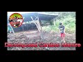 Collecting and proper way of managing carabao manure for vermi culture