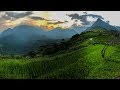 Sapa district hong lin national park  vietnam 4k drone footage