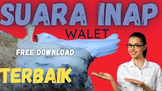 SUARA INAP WALET  TERBAIK | 👍| FREE DOWNLOAD | SUARA INAP TERBAIK 2023 | Part 1