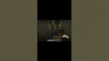 Minecraft Drip Leaf Parkour Course Tutorial #shorts