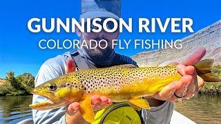 FLY FISHING COLORADO | Float Fishing For Hungry WILD Brown Trout | Gunnison River