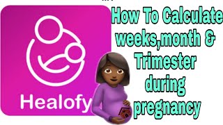 How To Calculate Your Pregnancy By WEEK, MONTH & Trimester || Healofy App screenshot 4