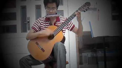 Fly me to Polaris   Xing Yu Xin Yuan   Guitar+Harmonica