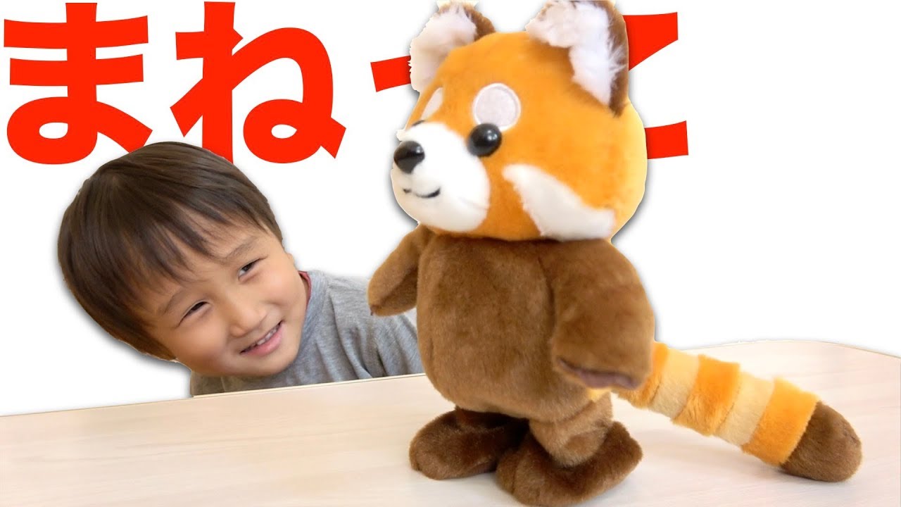 トコトコまねっこレッサーパンダ【かとちゃん】 - YouTube