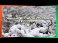 Silent Night - White Christmas,小柳ゆき &quot;定番クリスマスソング集&quot;