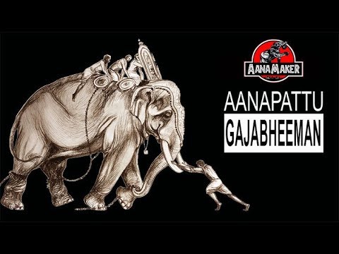 AANAMAKER    AANAPATTU    GAJABHEEMAN    