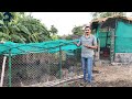 Happy Hen Project at OxyGoat Ramchandra Farm, Satara. शेळी पालन सोबत कोंबडी पालन