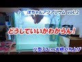 30センチ水槽　ソイルで立ち上げ！　Youchan Aquarium vol.2