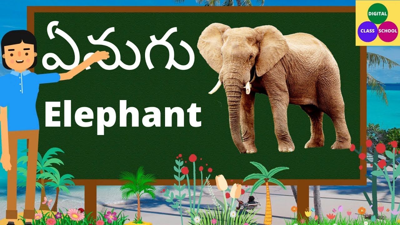 english telugu words Animals' names in Telugu and English for kids - English  and Telugu words - YouTube