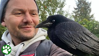 Crow visits human BEST FRIEND every day