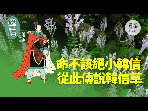 【韩信】第三集 命不该绝小韩信 从此传说韩信草