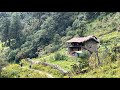 Best nepali mountain village life in highland  very peaceful and relaxing  iamsuman