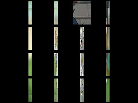 صور توم وجيري على اغنية خلوني نعيش حياتي 