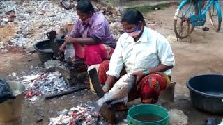 Village Style Fish Cutting Skills | Nuzvid Fish Market | مهارات قطع الأسماك على غرار القرية