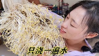 豆芽不用花錢買，教你在家發豆芽，3天就能吃，安全衛生更營養