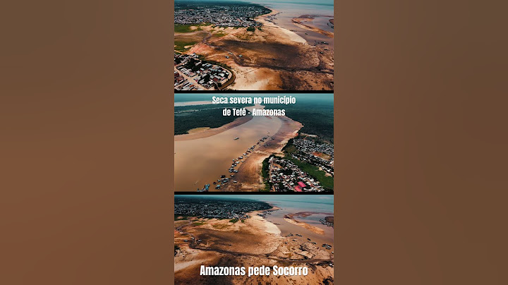 Seca severa no município de Tefé Amazonas. Amazônia pede socorro.
