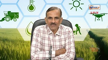 વર્ષ ૨૦૨૫-૨૬ માં  પ્રાઈસ સપોર્ટ સ્કીમ - તુવેરની ટેકાના ભાવની યોજના અંતર્ગત નોંધણી સારુ VCE ને તાલીમ​