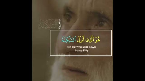 من آيات السكينة...القارئ أحمد النفيس/حالات واتس اب