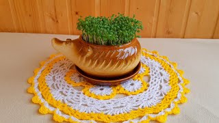 Огород на окне 2019 (томаты взошли, салат готов, лук проклюнулся, купила биогумус и базилик) Огород на окне 2019 (томаты взошли, салат готов, лук проклюнулся, купила биогумус и базилик)