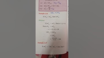 TN 11th Business Maths