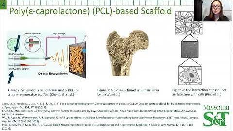 ABBOTT ASHLEIGH Final Research Update A Layer by Layer LbL Biomaterial Designed for Bone Regeneratio