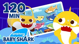 Baby Shark Toy, Sing Along, Hide'n Seek | +Compilation | BEST Baby Shark 2022 | Baby Shark Official