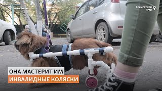 Школьница из Приморья бесплатно делает инвалидные коляски для собак | Сибирь.Реалии