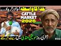 Lahore Cattle Market 2026 | Massive Price Drop | Eid Ul Adha 2026 | Discover Pakistan