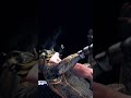 Khabib vs. Samurai - Crazy KO ☝️🦅