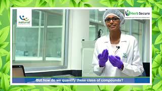 UV/Vis Spectroscopy