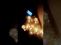 شايشة
