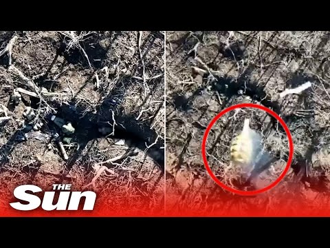 Ukrainian drone drops GRENADE on Russian Soldier in direct hit