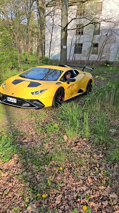 Ich fahre mit dem lambo durch den Wald es geht schief