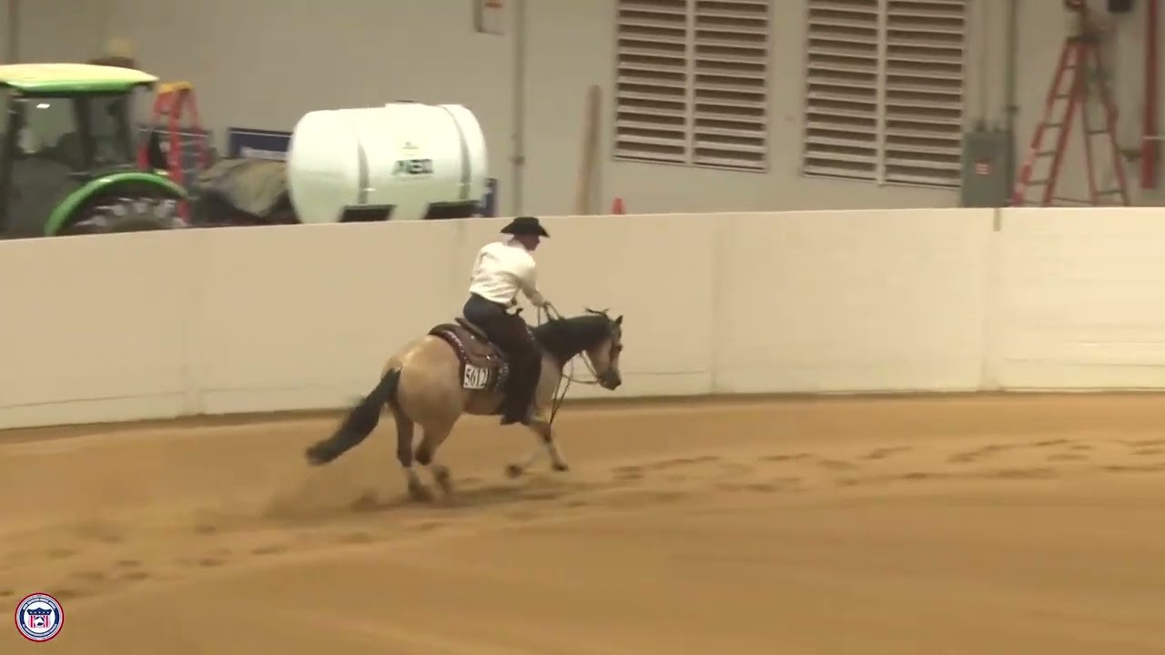 2025 Quarter Horse Congress NP Reining Wes Brown on Duel Guns