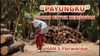 Download Lagu PAYUNGKU - Pohon untuk kehidupan MP3 Download Lagu PAYUNGKU - Pohon untuk kehidupan MP3