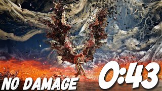 Famous Malenia, Blade of Miquella - FASTEST KILL  [ WORLD RECORD, NO DAMAGE, 4K60ᶠᵖˢ UHD ] -  ELDEN RING Profile